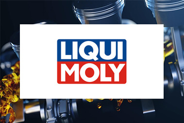 Разовые работы для сайта и корпоративного портала компании LIQUI MOLY