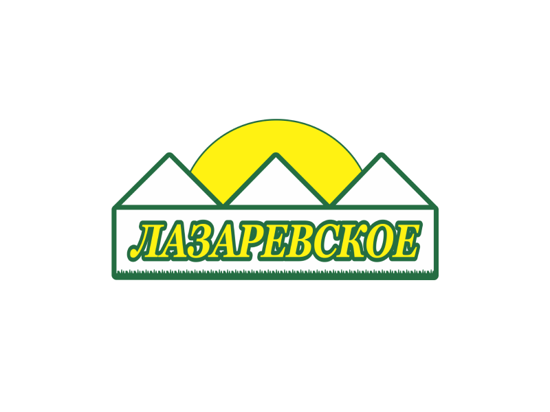 Продвижение интернет-магазина «Лазаревское»
